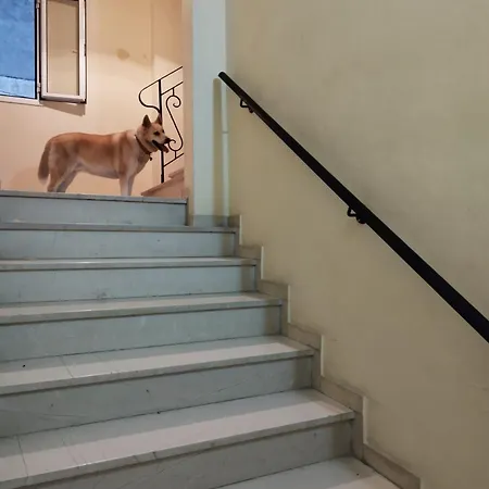 Δωμάτια σε οικογενειακή κατοικία In Corfu Town Corfu (city)